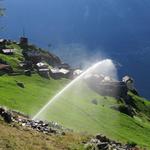 ohne Wasser würde hier oben alles austrocknen