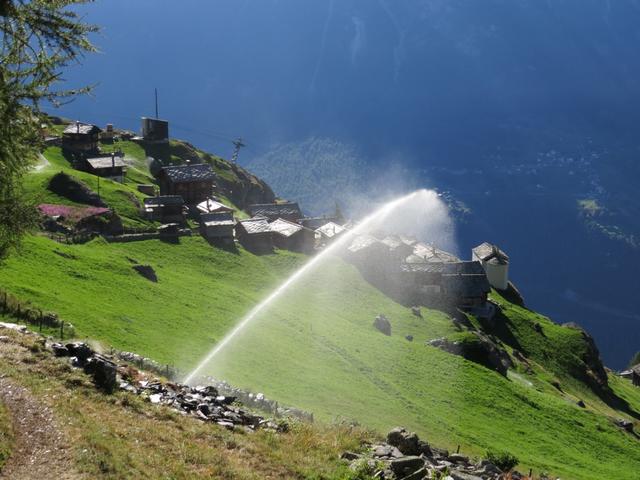 ohne Wasser würde hier oben alles austrocknen