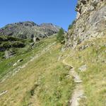 der Weg führt in zwei Kehren durch Wiesen und lichten Wald aufwärts