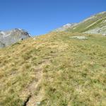 nach dem Alpgebäude führt der Weg rechts über Bergweiden am Hang hoch,...
