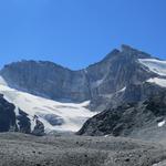 die beiden Barrhörner mit dem Unteren Stelligletscher