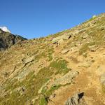 rechts führt der Bergweg über das Schöllijoch zur Turtmannhütte. Die haben wir auch schon besucht