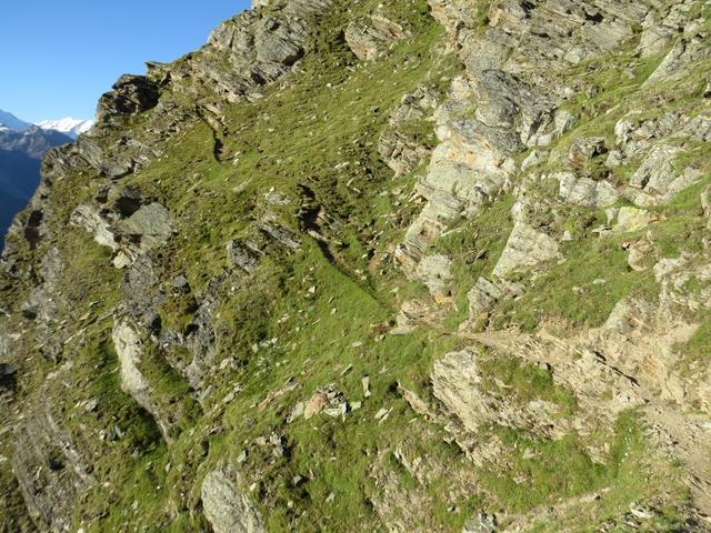 geschickt schmiegt sich der niemals grosszügige, teilweise ausgesetzte, aber immer passable Pfad an der Bergflanke