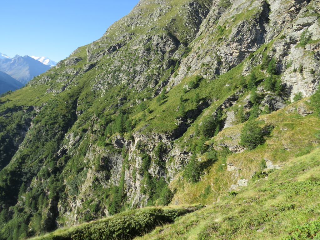 ...und auf den Weiterweg