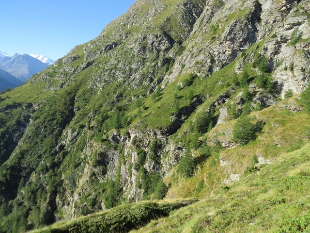 ...und auf den Weiterweg