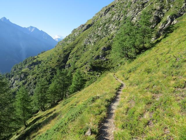 ...führt der Höhenweg in Grundrichtung Süd...