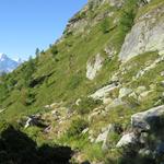 unerbittlich führt der nun einfache Bergweg der Bergflanke des Guggiberg aufwärts