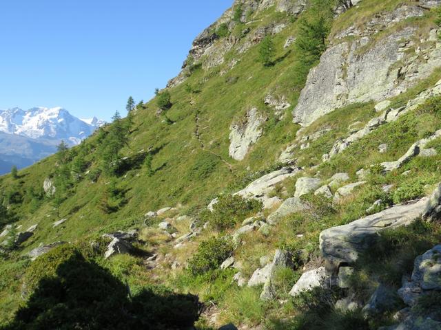 unerbittlich führt der nun einfache Bergweg der Bergflanke des Guggiberg aufwärts