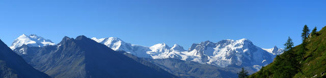 super schönes Breitbildfoto mit unzähligen 4000er Allalinhorn, Rimpfischhorn, Liskamm, die Zwillinge und das Breithorn