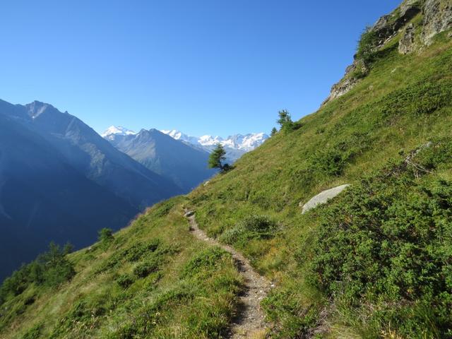 hoch über den tiefsten Taleinschnitt der Alpen, geht es weiter Südwärts