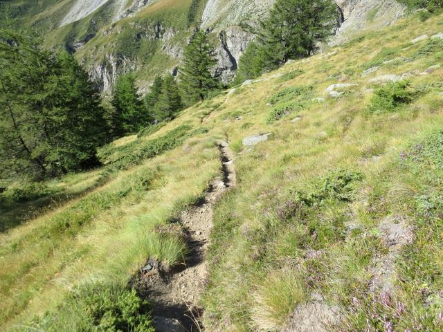 der Weg ist nicht ausgesetzt oder schwierig, aber steil 1994 m.ü.M.