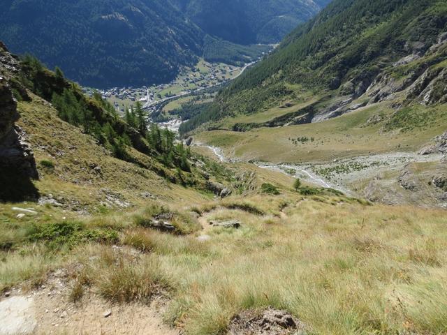 über die Steilwiesenflanke führt unser Abstieg in weiten Kehren hinunter