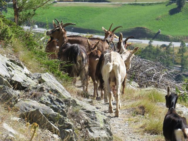 mit einem schönen Anblick geht diese zweitätige wunderschöne Wanderung auf dem Topali-Höhenweg zu Ende