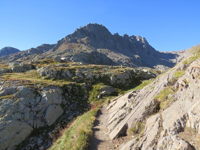 in einem weiten Rechtsbogen wandern wir um den Pazolastock, und plötzlich taucht vor uns der Piz Badus auf