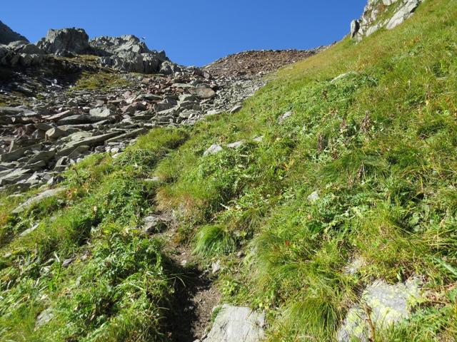 ein ausgetretener Pfad führt uns zu der Weggabelung Punkt 2627 m.ü.M.