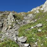 hier biegen wir links ab, und steigen über Wiesen mit Steinen versetzt, steil aufwärts