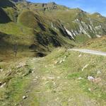 kurz vor Punkt 2079 m.ü.M. zweigen wir links auf einen Wanderweg ab