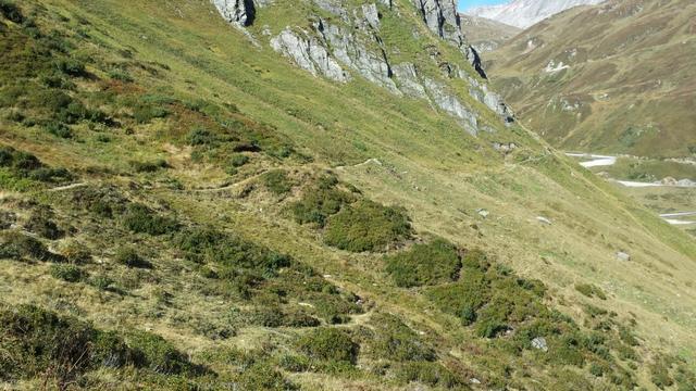 dieser mündet in den Weg, den wir am Morgen vom Oberalppass her gekommen sind