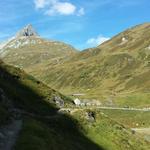 auf dem gleichen Höhenweg wandern wir an der Ostflanke des Pazzolastocks zu unserem Auto zurück