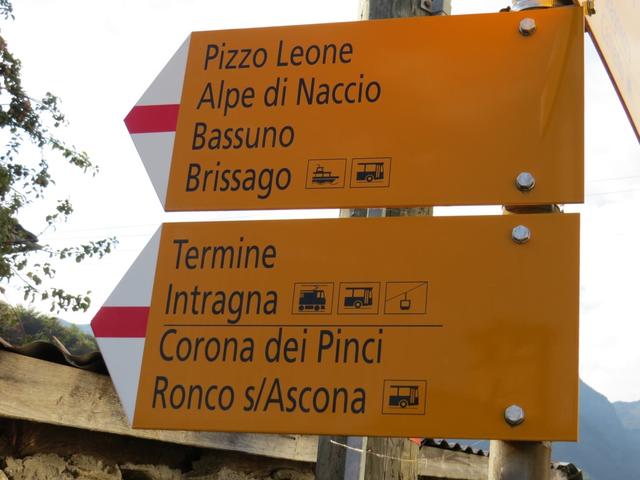 Pizzo Leone, Alpi di Naccio, Corona dei Pinci, was waren das für schöne Wanderungen. Wir wandern heute aber nach Intragna zur�