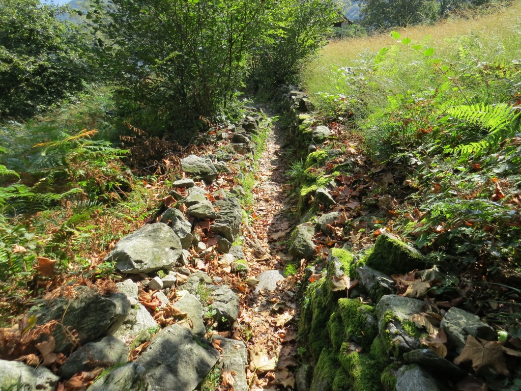 ein sehr schöner Wanderweg...