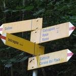 der Wanderweg biegt nun links ab