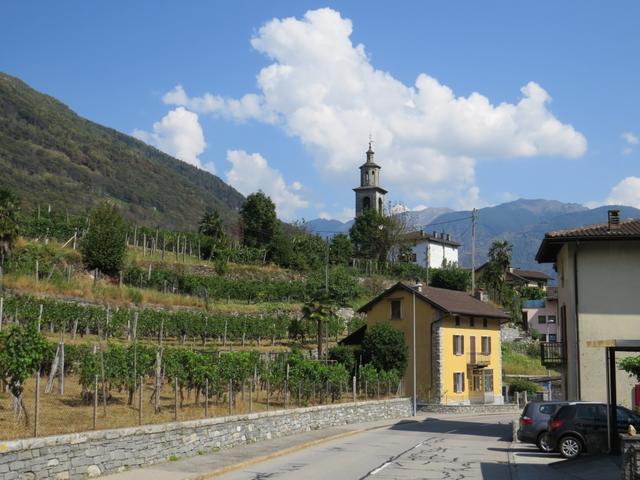 nach dieser stärkenden Pause laufen wir der Strasse entlang nach Intragna