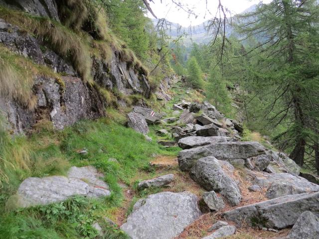 über einen ruppigen, stein- und wurzeldurchsetzter Bergweg...