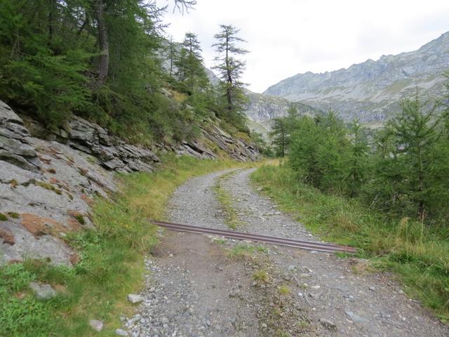 bei Punkt 1745 m.ü.M. treffen wir wieder auf die Alpstrasse, die dem Ri della Froda folgend,...