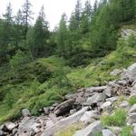 ...und sofort ist der Bergweg steil und zwar sehr steil!