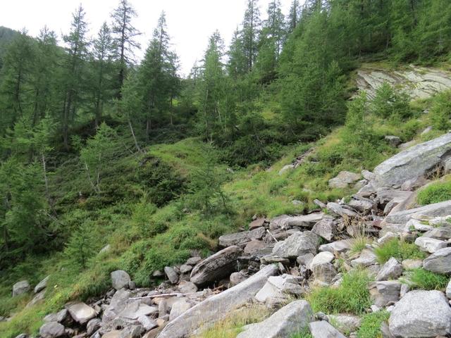 ...und sofort ist der Bergweg steil und zwar sehr steil!