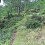 der Bergweg führt durch hohes Gras...