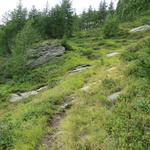 in den Tessiner Alpen ist die breite "Wanderautobahn" eine absolute Ausnahme