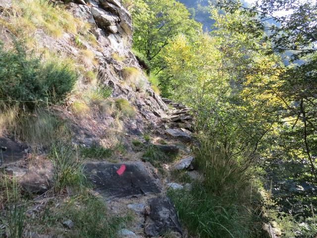 Wälder können die einst kahlgeschlagenen Flächen wieder in Besitz nehmen, und die Tiere haben Ruhe und Nahrung