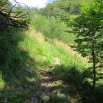 hier biegt der Wanderweg links ab Richtung Alpe del Pianaccio