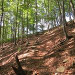 schonungslos führt uns der Wanderweg steil aufwärts