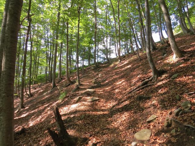 schonungslos führt uns der Wanderweg steil aufwärts