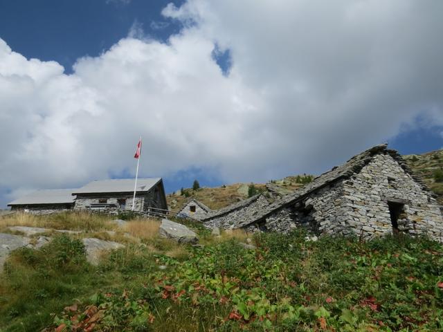 parallel zum Wasserlauf, durch locker mit Lärchen bewachsenen Hang, führt uns der Bergpfad hinauf zur Capanna Ribia 1996 m.ü.