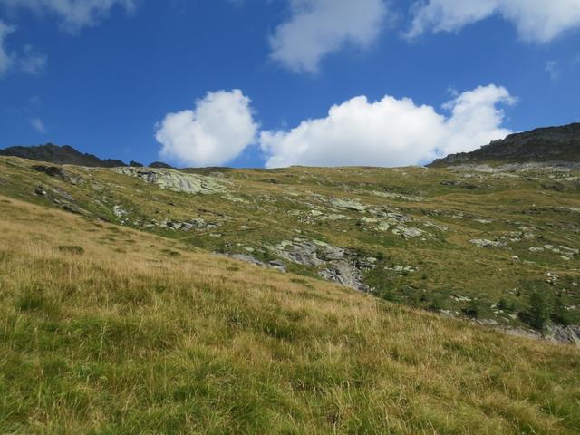 ...da die Alp aber nicht mehr beweidet wird, kann man im hohen Gras einige der Markierungen leicht verpassen...
