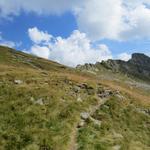 in der Schweiz gibt es nur noch sehr wenige Gebiete, die so wild,  schön, ursprünglich, und naturbelassen sind