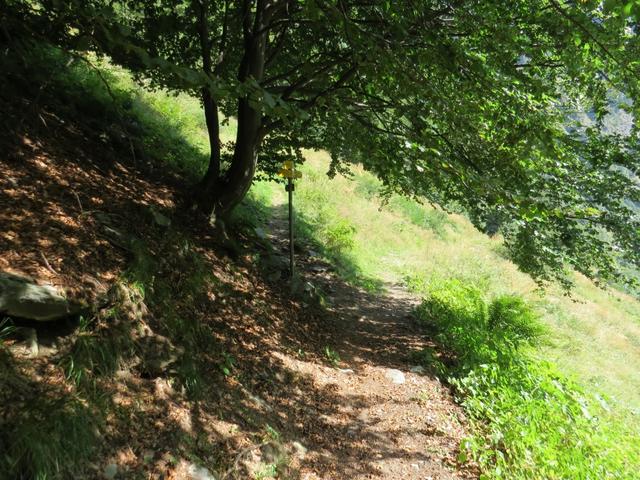 an der orographisch linken Seite des namenlosen Bach wandern wir talauswärts