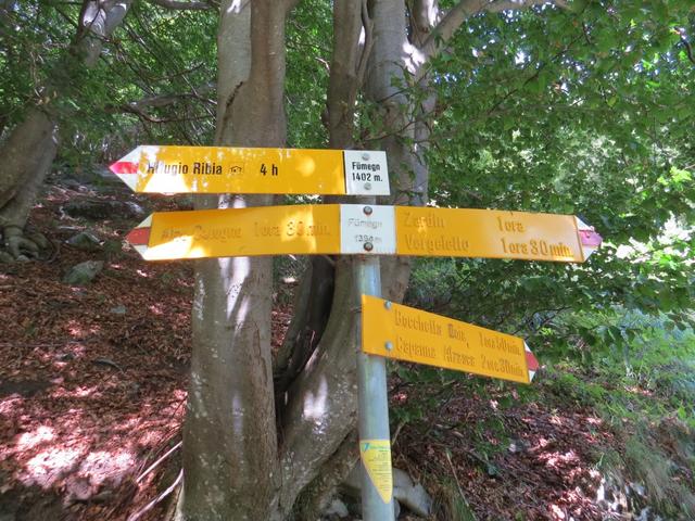 wir erreichen die Weggabelung bei Punkt 1402 m.ü.M. Die Richtung ist nun mit Zardin angegeben