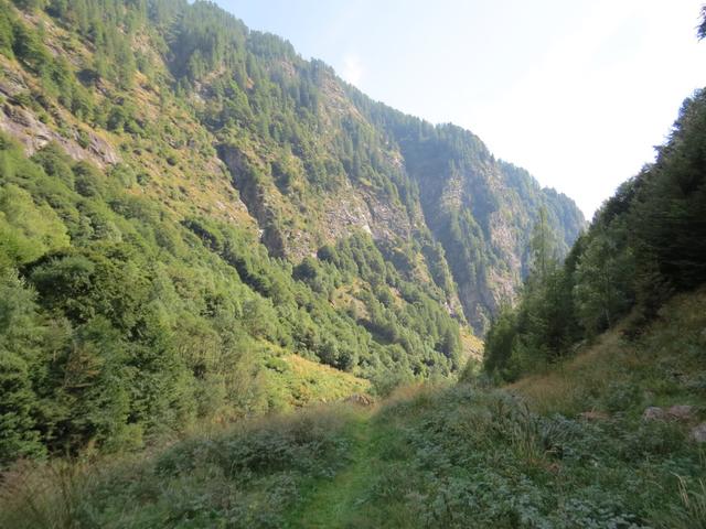 ...stetig an Höhe