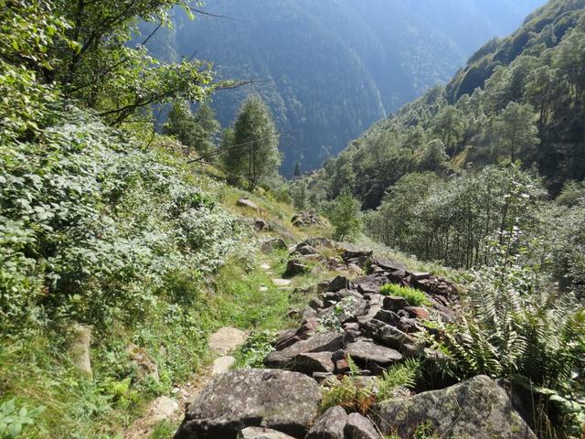 schon nach kurzer Zeit erreichen wir Camana 1036 m.ü.M.