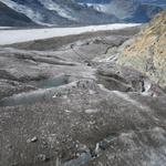 der Weg über den Gornergletscher ist mit Stangen markiert