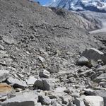 ...führt uns der Weg weiter Richtung Grenzgletscher