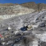 ...und durchqueren den Gornergletscher