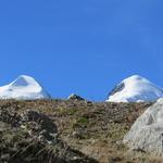 Blick zu den Zwillingen Castor und Pollux