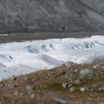 der Gornergletscher ein weisses Band in dieser Steinwüste