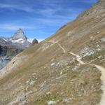 rechts von uns die steile Südflanke des Gornergrats